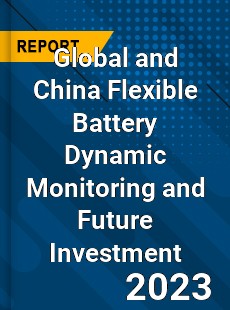 Global and China Flexible Battery Dynamic Monitoring and Future Investment Report