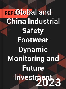 Global and China Industrial Safety Footwear Dynamic Monitoring and Future Investment Report