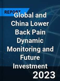 Global and China Lower Back Pain Dynamic Monitoring and Future Investment Report