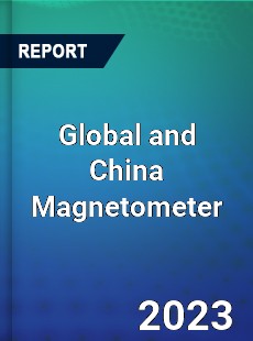 Global and China Magnetometer Industry