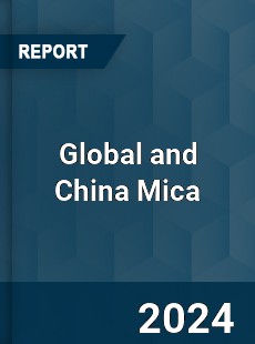 Global and China Mica Industry