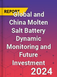 Global and China Molten Salt Battery Dynamic Monitoring and Future Investment Report