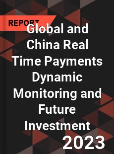 Global and China Real Time Payments Dynamic Monitoring and Future Investment Report