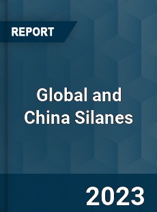 Global and China Silanes Industry