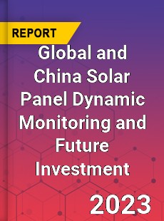 Global and China Solar Panel Dynamic Monitoring and Future Investment Report