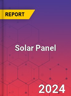 Global and China Solar Panel Dynamic Monitoring and Future Investment Report