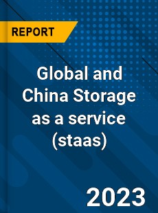 Global and China Storage as a service Industry