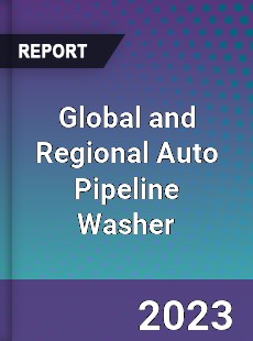 Global and Regional Auto Pipeline Washer Industry