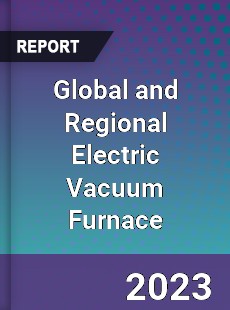 Global and Regional Electric Vacuum Furnace Industry