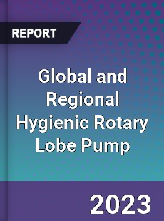 Global and Regional Hygienic Rotary Lobe Pump Industry