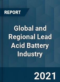 Global and Regional Lead Acid Battery Industry