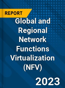 Global and Regional Network Functions Virtualization Industry