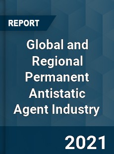 Global and Regional Permanent Antistatic Agent Industry