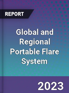 Global and Regional Portable Flare System Industry