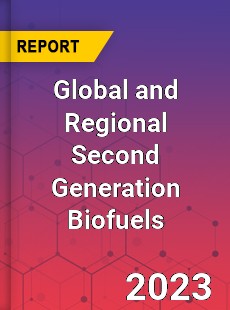 Global and Regional Second Generation Biofuels Industry