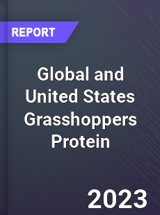 Global and United States Grasshoppers Protein Market