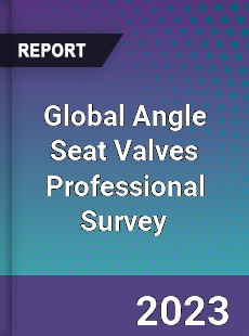 Global Angle Seat Valves Professional Survey Report