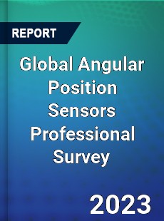 Global Angular Position Sensors Professional Survey Report