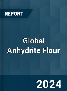 Global Anhydrite Flour Industry