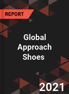 Global Approach Shoes Market