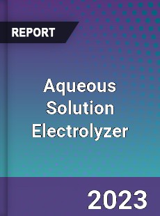 Global Aqueous Solution Electrolyzer Market