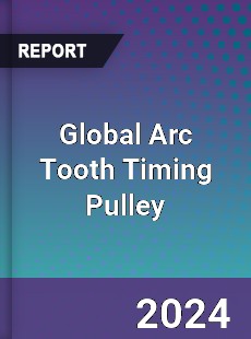 Global Arc Tooth Timing Pulley Industry