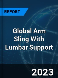 Global Arm Sling With Lumbar Support Industry