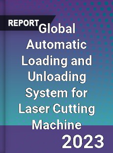 Global Automatic Loading and Unloading System for Laser Cutting Machine Industry