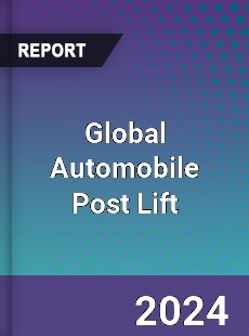 Global Automobile Post Lift Industry