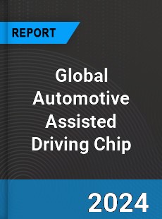 Global Automotive Assisted Driving Chip Industry