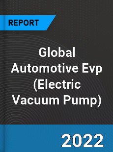 Global Automotive Evp Market