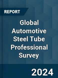 Global Automotive Steel Tube Professional Survey Report