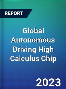 Global Autonomous Driving High Calculus Chip Industry