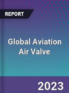 Global Aviation Air Valve Industry