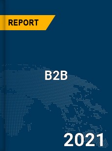 Global B2B Market Research Report with Opportunities and Strategies