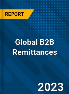 Global B2B Remittances Industry