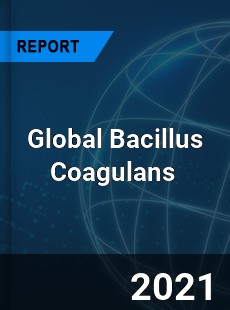 Global Bacillus Coagulans Market