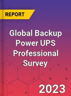 Global Backup Power UPS Professional Survey Report