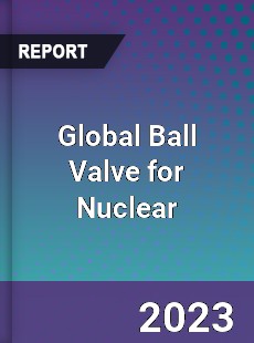 Global Ball Valve for Nuclear Industry