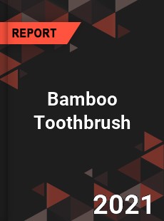 Global Bamboo Toothbrush Professional Survey Report