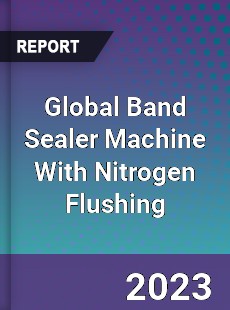 Global Band Sealer Machine With Nitrogen Flushing Industry