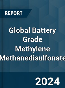 Global Battery Grade Methylene Methanedisulfonate Industry