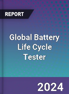 Global Battery Life Cycle Tester Industry