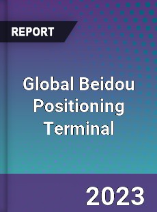 Global Beidou Positioning Terminal Industry