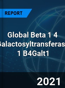 Global Beta 1 4 Galactosyltransferase 1 B4Galt1 Market