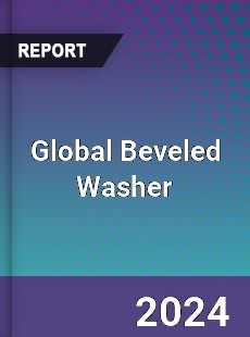 Global Beveled Washer Industry