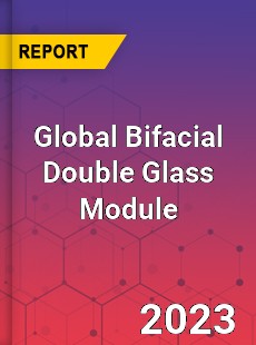 Global Bifacial Double Glass Module Industry