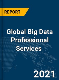 Global Big Data Professional Services Market