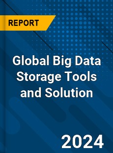 Global Big Data Storage Tools and Solution Industry