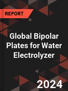 Global Bipolar Plates for Water Electrolyzer Industry